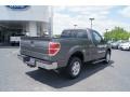 Sterling Grey Metallic - F150 XL Regular Cab Photo No. 3