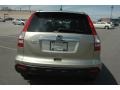 2008 Borrego Beige Metallic Honda CR-V EX-L 4WD  photo #5