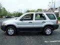 Satin Silver Metallic - Escape XLS 4WD Photo No. 3