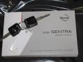 Brilliant Silver - Sentra 2.0 Photo No. 22