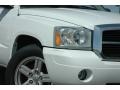 Bright White - Dakota ST Quad Cab 4x4 Photo No. 7