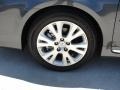 Magnetic Gray Metallic - Avalon  Photo No. 11
