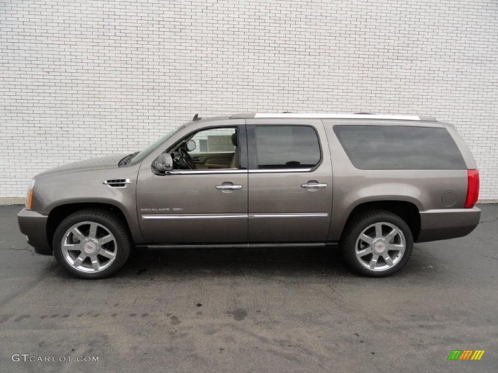 Mocha Steel Metallic 2011 Cadillac Escalade ESV Premium AWD Exterior Photo #48910869