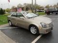 Cashmere - CTS Sedan Photo No. 3