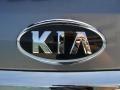 Alpine Gray - Sorento LX Photo No. 24