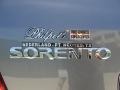 Alpine Gray - Sorento LX Photo No. 25
