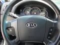 Alpine Gray - Sorento LX Photo No. 54