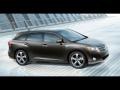 Aloe Green Metallic - Venza I4 Photo No. 2