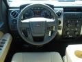 2011 Pale Adobe Metallic Ford F150 XLT SuperCab  photo #7