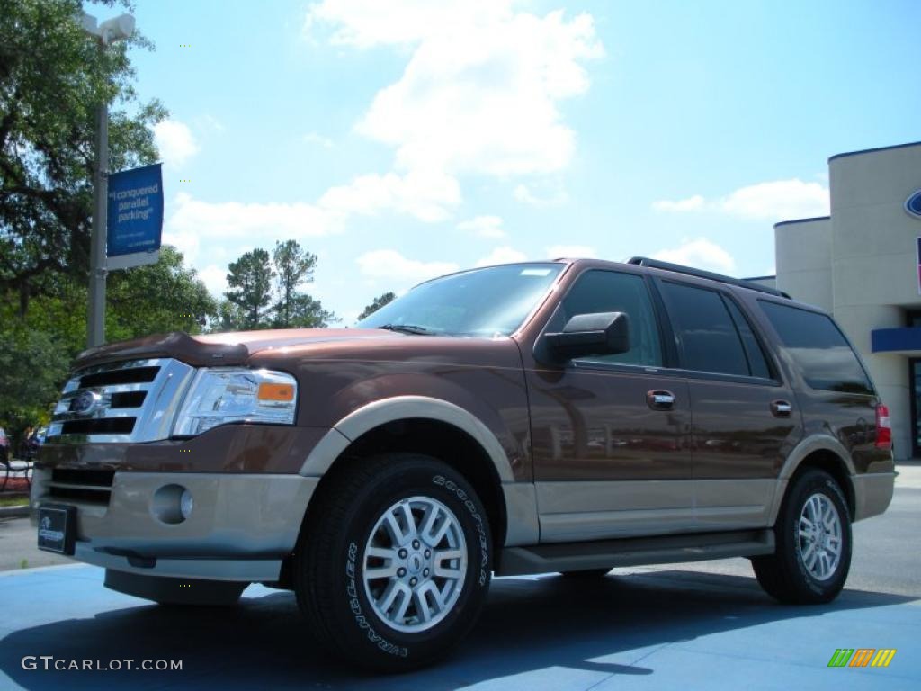 2011 Expedition XLT - Golden Bronze Metallic / Camel photo #1