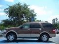 2011 Golden Bronze Metallic Ford Expedition XLT  photo #2