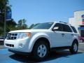 White Suede - Escape XLT Photo No. 1