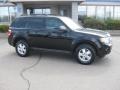 2009 Black Ford Escape XLT V6 4WD  photo #6