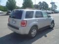 Silver Metallic - Escape XLT V6 Photo No. 5