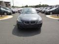 2009 Platinum Grey Metallic BMW 5 Series 528i Sedan  photo #2