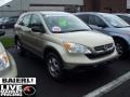 2008 Borrego Beige Metallic Honda CR-V LX 4WD  photo #1