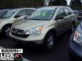 2008 Borrego Beige Metallic Honda CR-V LX 4WD  photo #3