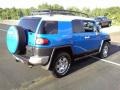Voodoo Blue - FJ Cruiser 4WD Photo No. 16