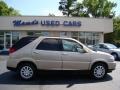 2006 Cashmere Metallic Buick Rendezvous CXL AWD  photo #1