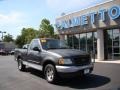 Dark Shadow Grey Metallic - F150 XLT Regular Cab Photo No. 2