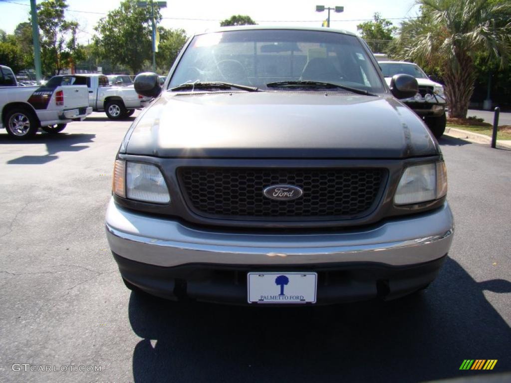 2002 F150 XLT Regular Cab - Dark Shadow Grey Metallic / Medium Graphite photo #3