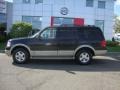 Black Clearcoat - Expedition Eddie Bauer 4x4 Photo No. 2