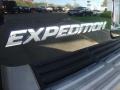 Black Clearcoat - Expedition Eddie Bauer 4x4 Photo No. 7