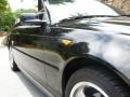 2004 Jet Black BMW 3 Series 325i Convertible  photo #16