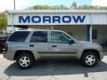 Graystone Metallic - TrailBlazer LS 4x4 Photo No. 1