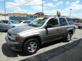 Graystone Metallic - TrailBlazer LS 4x4 Photo No. 5