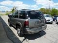 Graystone Metallic - TrailBlazer LS 4x4 Photo No. 8