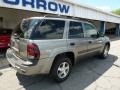 Graystone Metallic - TrailBlazer LS 4x4 Photo No. 10