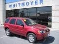 2006 Redfire Metallic Ford Escape Limited 4WD  photo #1
