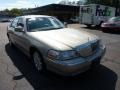 2009 Light French Silk Metallic Lincoln Town Car Signature Limited  photo #5