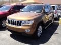 2011 Bronze Star Pearl Jeep Grand Cherokee Laredo X 70th Anniversary 4x4 #48925354