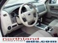 2011 White Suede Ford Escape XLT  photo #10