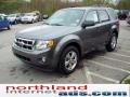 2011 Sterling Grey Metallic Ford Escape XLT V6 4WD  photo #4