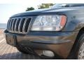 2002 Graphite Metallic Jeep Grand Cherokee Limited 4x4  photo #18