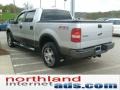 2007 Silver Metallic Ford F150 FX4 SuperCrew 4x4  photo #5