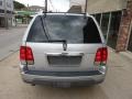 Silver Birch Metallic - Aviator Luxury AWD Photo No. 3