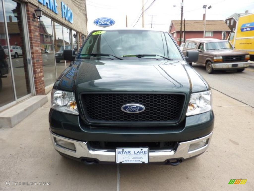 2005 F150 XLT SuperCab 4x4 - Aspen Green Metallic / Medium Flint Grey photo #6