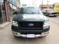 2005 Aspen Green Metallic Ford F150 XLT SuperCab 4x4  photo #6