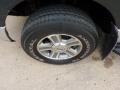 2005 Aspen Green Metallic Ford F150 XLT SuperCab 4x4  photo #7