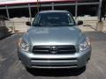 Everglade Metallic - RAV4 4WD Photo No. 10