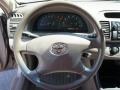 Desert Sand Mica - Camry LE Photo No. 14