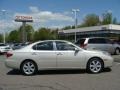 Classic Silver Metallic - ES 330 Photo No. 1