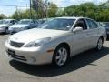 Classic Silver Metallic - ES 330 Photo No. 3