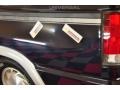 Deep Wedgewood Blue Metallic - E Series Van E150 Passenger Conversion Photo No. 31