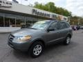 Steel Gray - Santa Fe GLS Photo No. 1