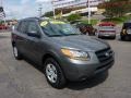 Steel Gray - Santa Fe GLS Photo No. 7